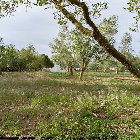 Agroturismo Malbuger Nou Menorca -Adults Only- Mahón Esterno foto